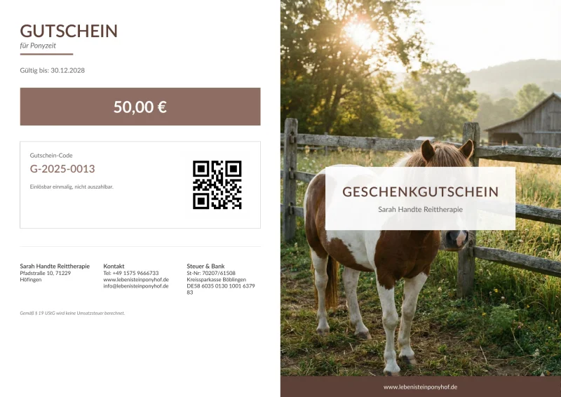 Braun-weisser Schecke an der Koppel