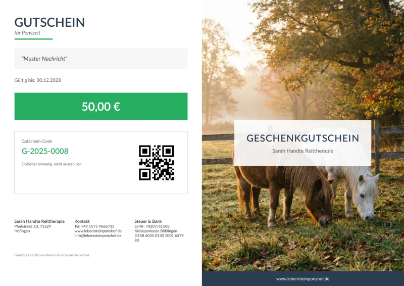 Zwei Ponys auf herbstlicher Wiese