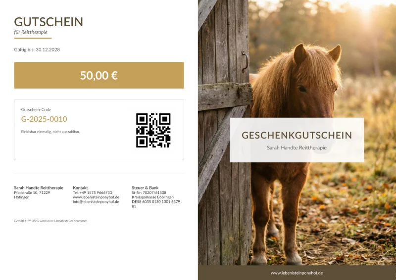 Pony schaut aus Holzstall bei Golden Hour