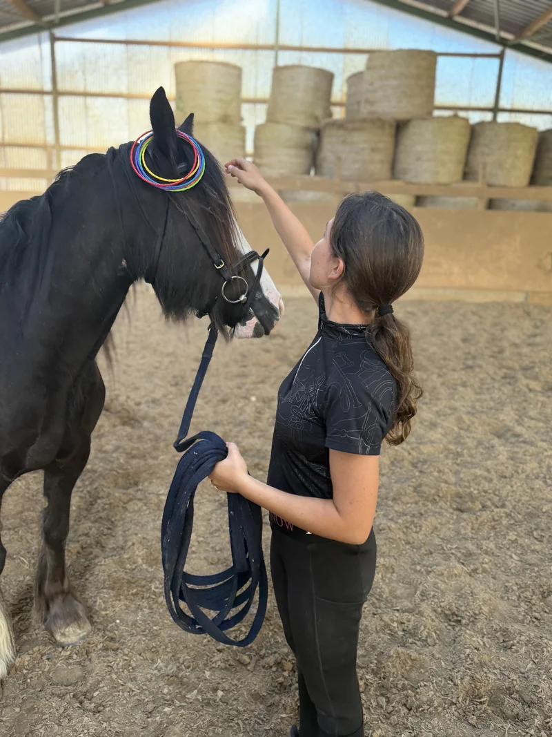 Lennox auf der Weide