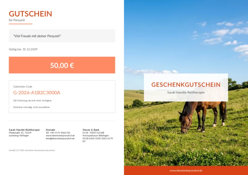 Pony auf weiter grüner Sommerweide
