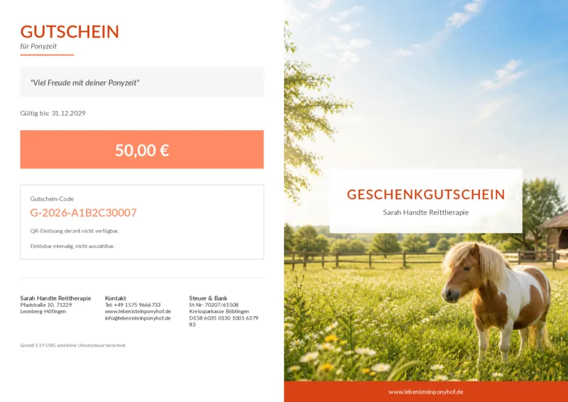 Pony auf sonniger Sommerweide