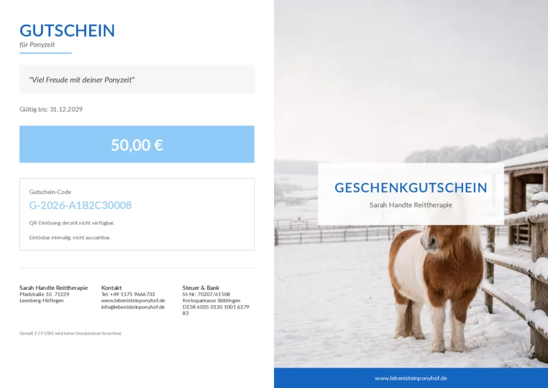 Pony auf verschneiter Winterkoppel