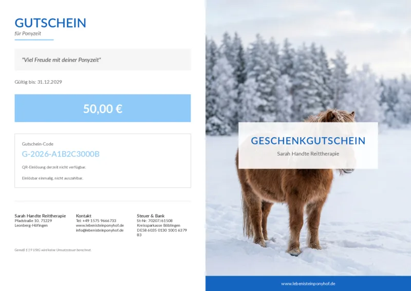 Pony in ruhiger verschneiter Winterlandschaft