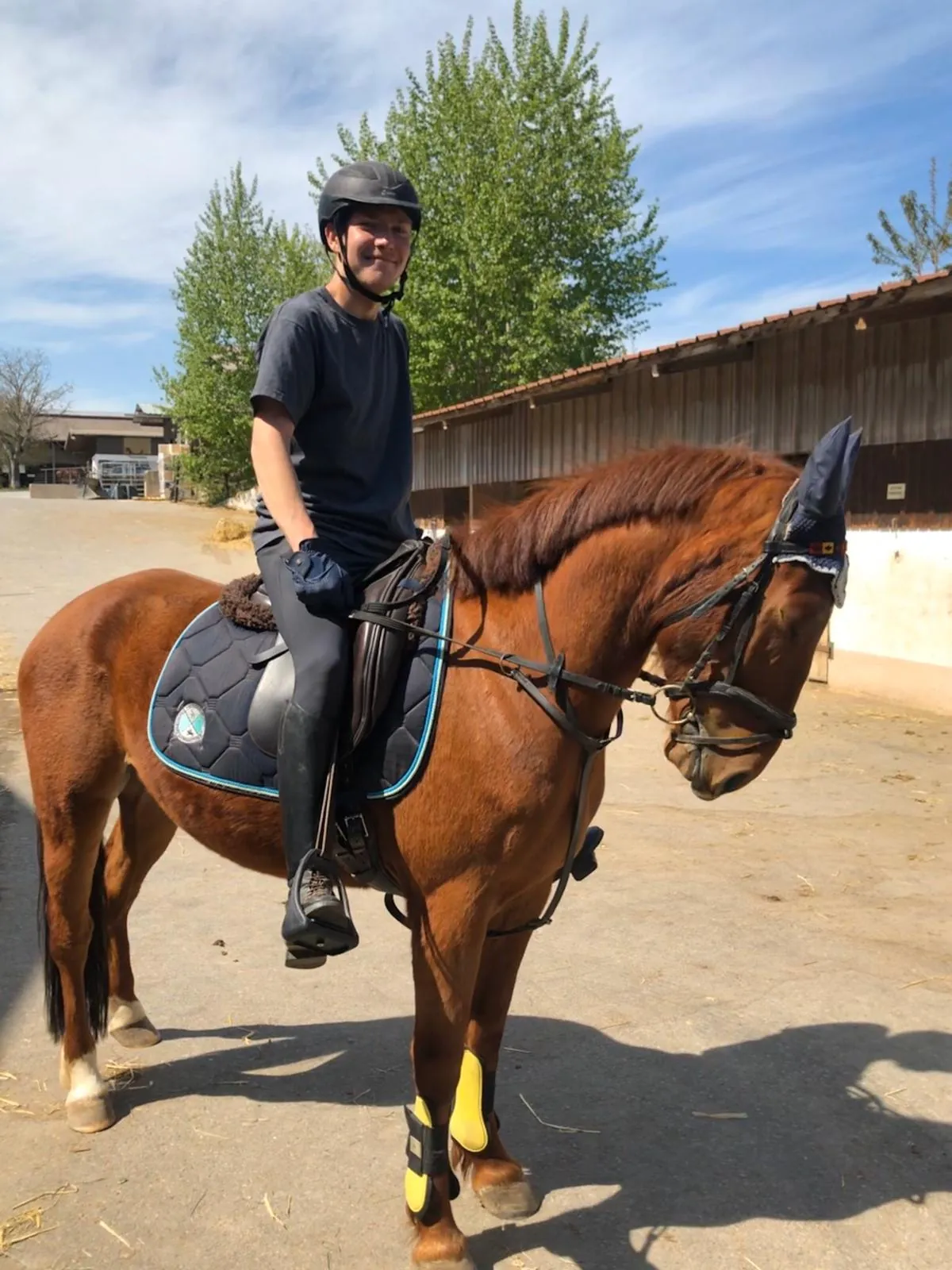 Tim Steegmüller - Technik & Unterstützung beim Ponyhof