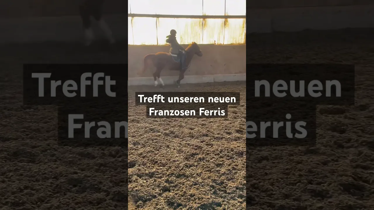 Ferris in Aktion! Fliegende Wechsel und Sprung über Hindernis |