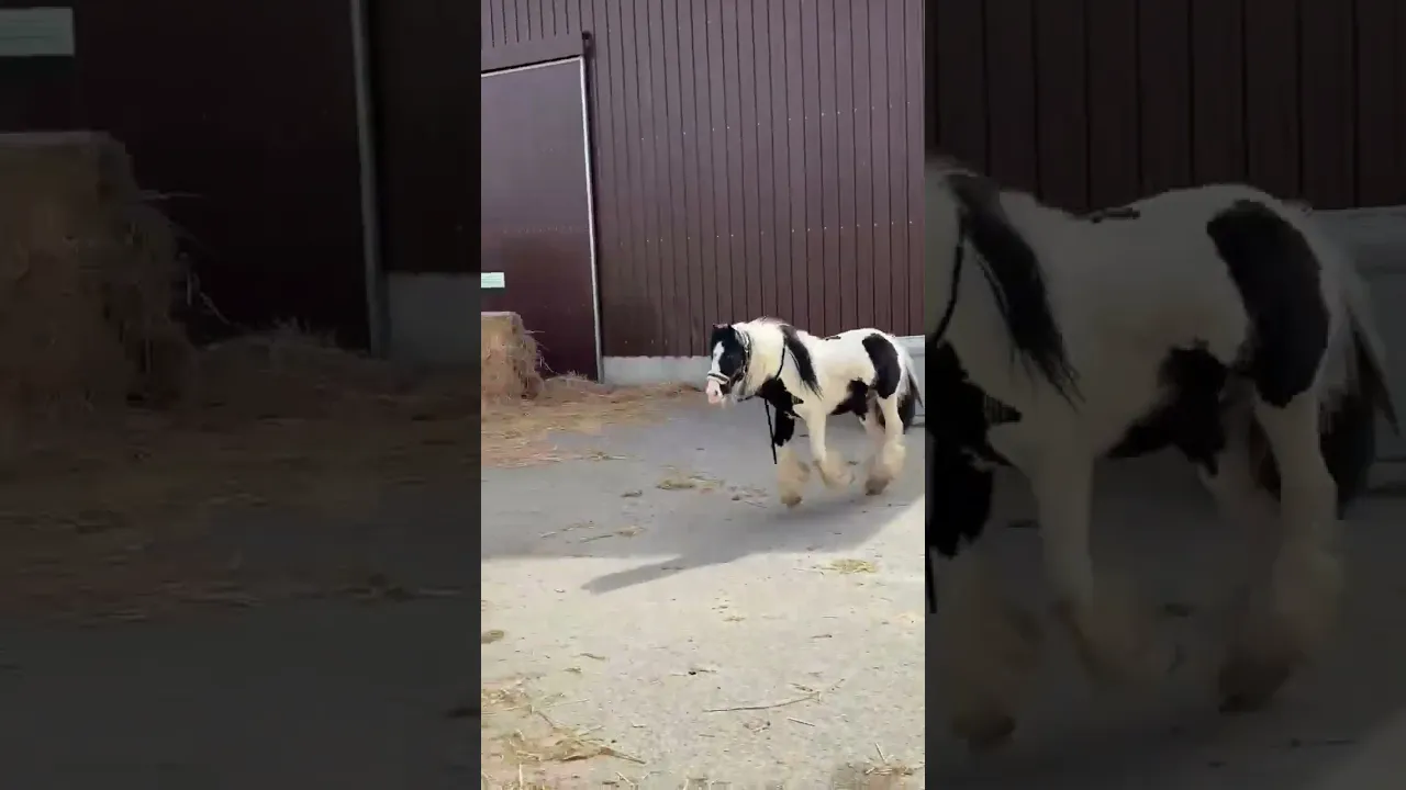 Was ist denn bitte mit unserem Tinker-Baby los?!