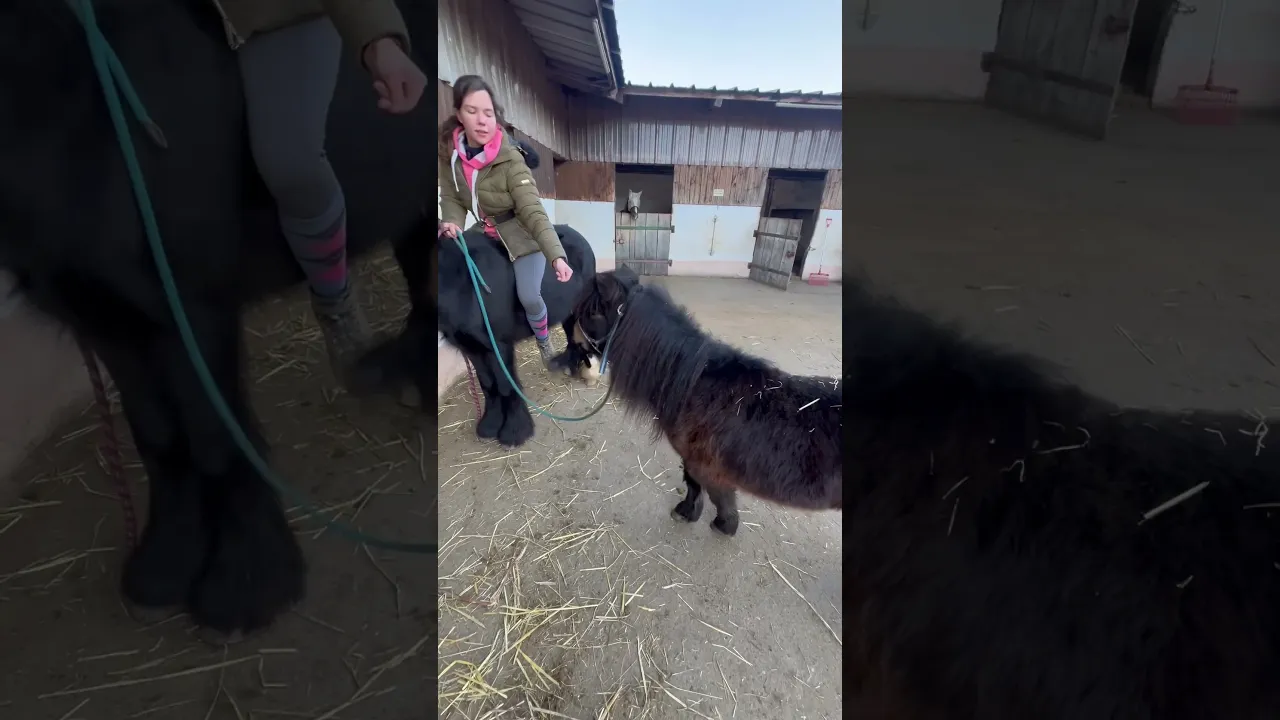 Pucki zeigt beeindruckende Tricks!