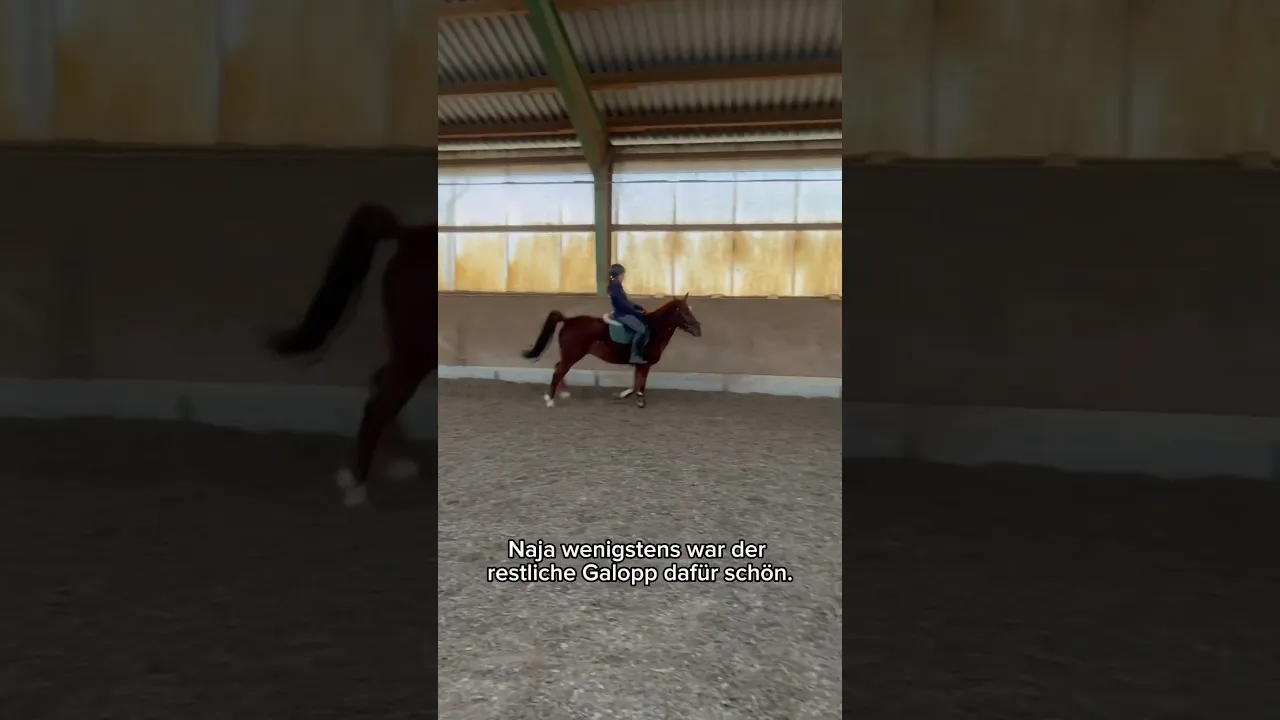 Als ich den perfekten Galopp filmen wollte passiert das… (Pferde-Fail)