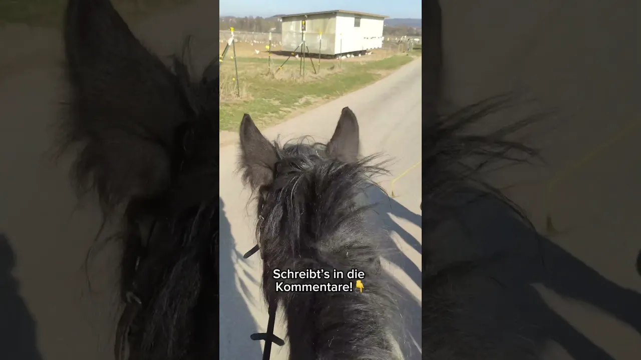 Perfekter Ausritt mit Nayla und Nero