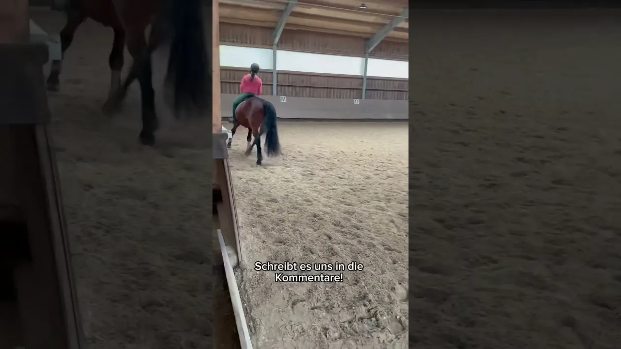 Sarahs erste Reitstunde mit Balu – wird das ein Dreamteam?